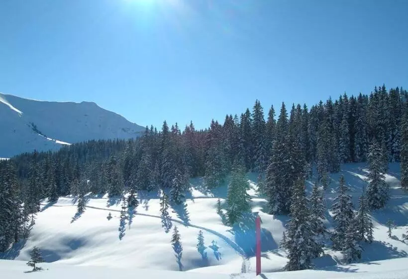 Fotos del hotel Crystal Interlaken:  13