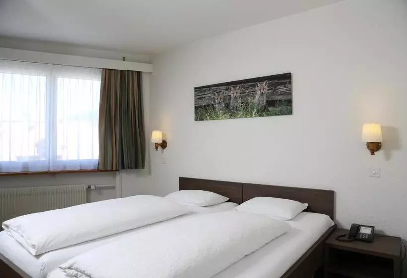 Fotos del hotel Crystal Interlaken:  11