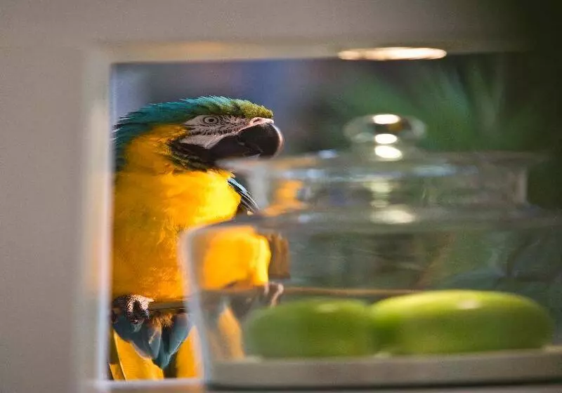 Fotos del hotel Anantara Hua Hin Resort:  26