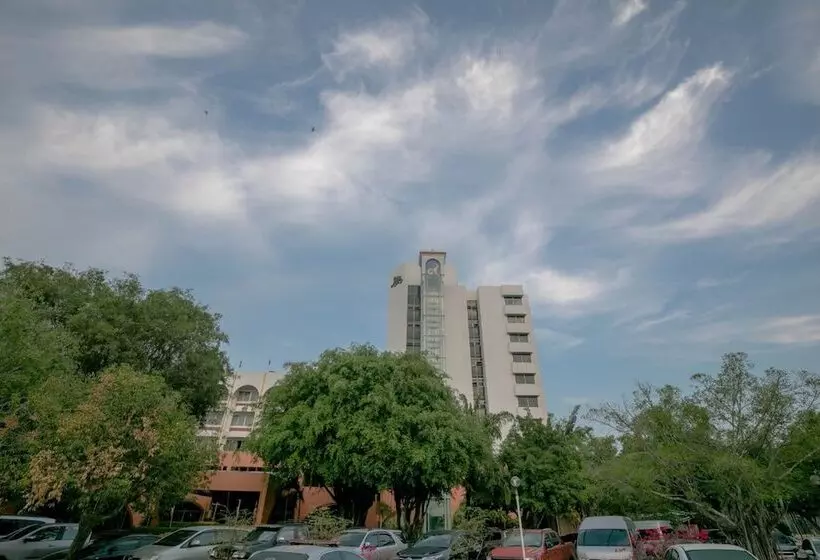 Fotos del hotel Wangtai:  14