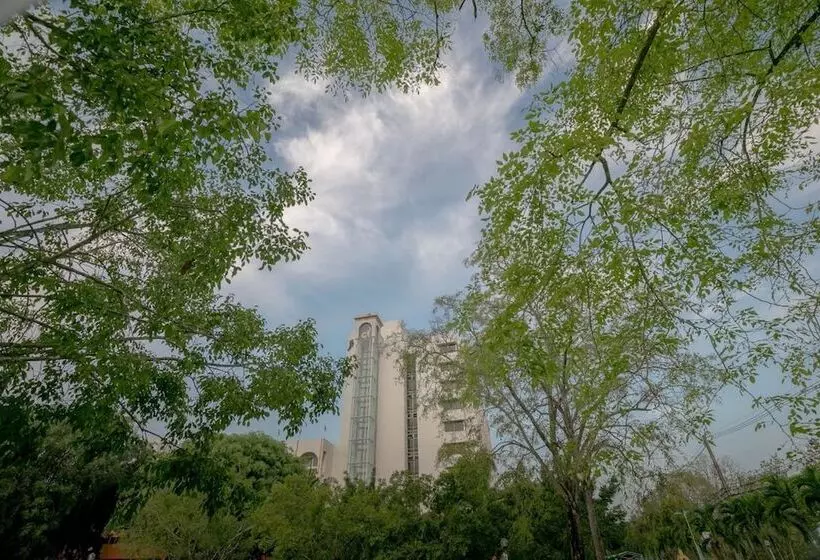 Fotos del hotel Wangtai:  16