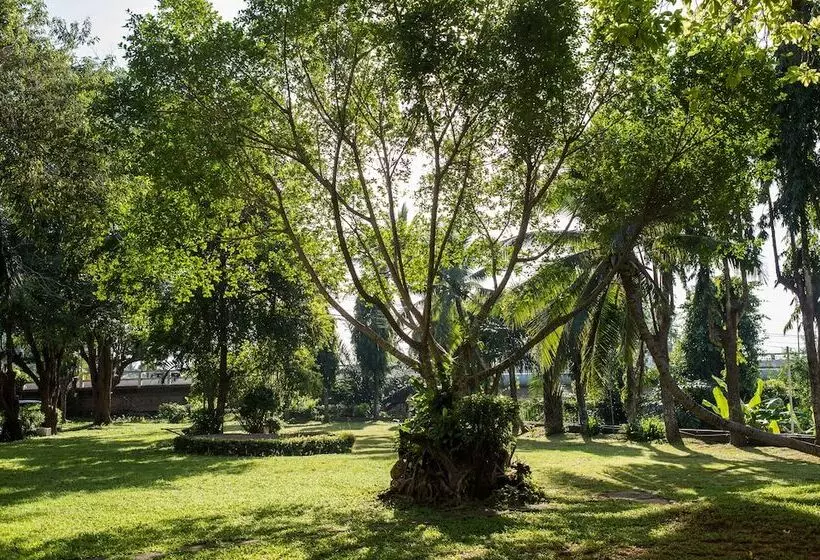 Fotos del hotel Wangtai:  18