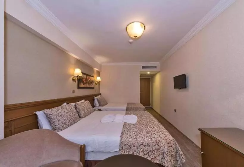 Fotos del hotel Laleli Gonen:  18