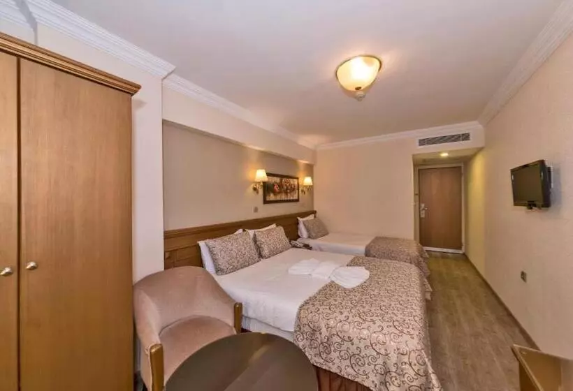 Fotos del hotel Laleli Gonen:  6