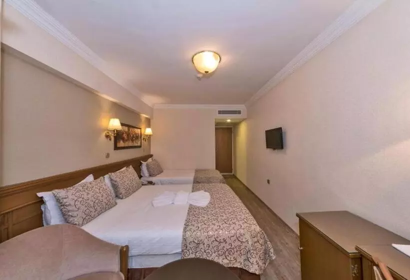 Fotos del hotel Laleli Gonen:  12