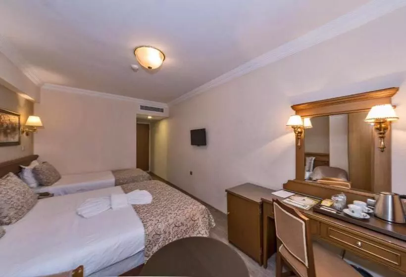 Fotos del hotel Laleli Gonen:  20