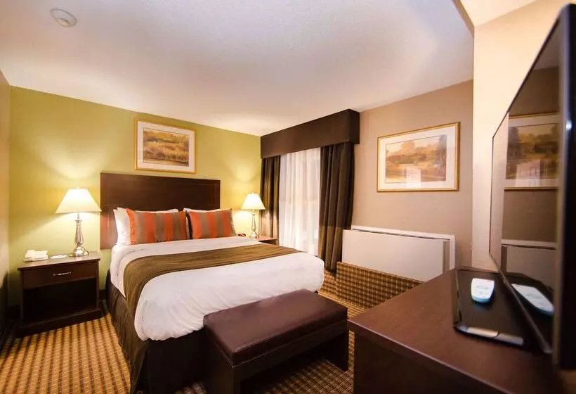 Fotos del hotel Best Western Barons Hotel & Conference Centre:  9