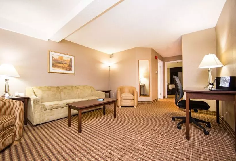 Fotos del hotel Best Western Barons Hotel & Conference Centre:  24