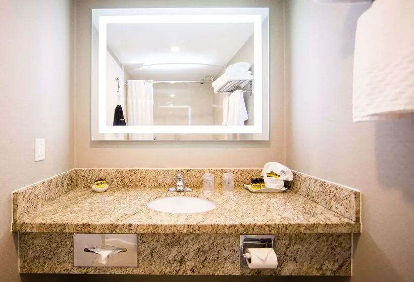 Fotos del hotel Best Western Barons Hotel & Conference Centre:  25