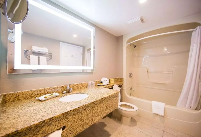 Fotos del hotel Best Western Barons Hotel & Conference Centre:  23
