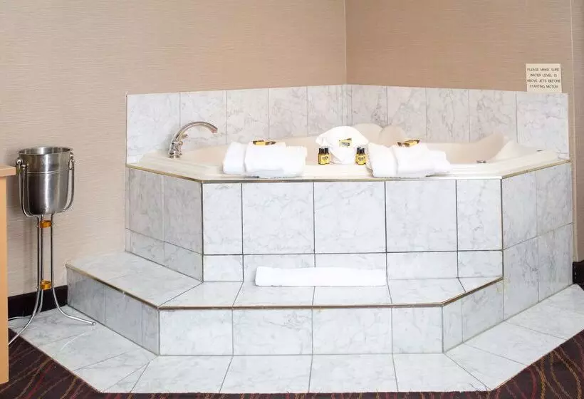 Fotos del hotel Best Western Barons Hotel & Conference Centre:  15