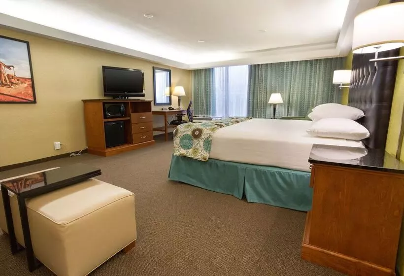Fotos del hotel Drury Inn & Suites Houston The Woodlands:  6