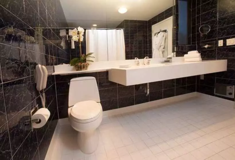 Fotos del hotel Fitzpatrick Grand Central:  8