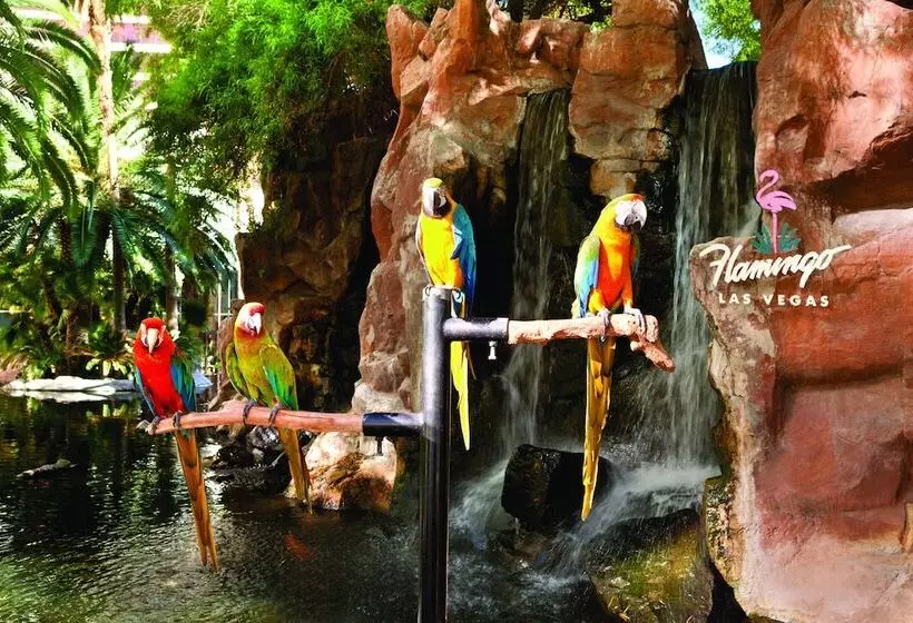 Fotos del hotel Flamingo Las Vegas Hotel & Casino:  15