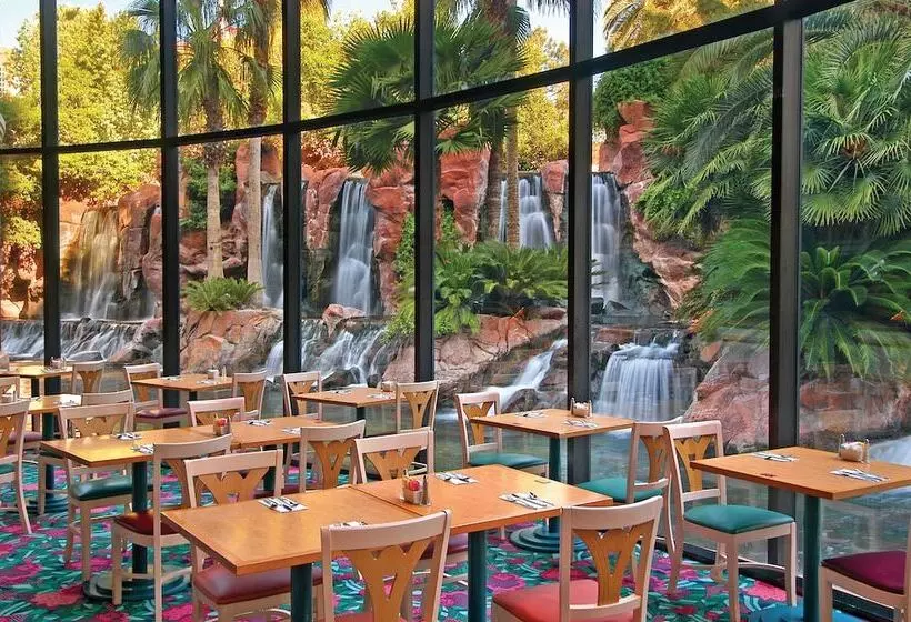 Fotos del hotel Flamingo Las Vegas Hotel & Casino:  18