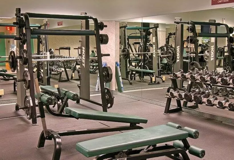 Fotos del hotel Flamingo Las Vegas Hotel & Casino:  4