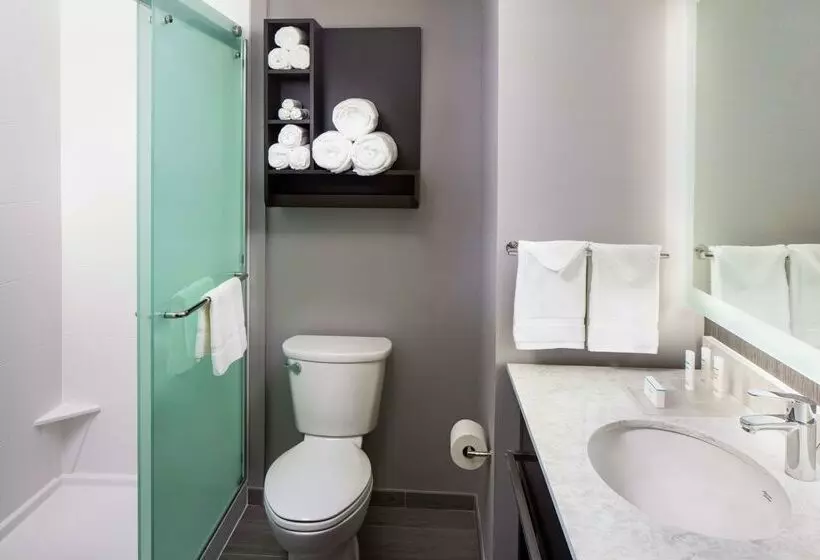 Fotos del hotel Homewood Suites By Hilton Atlanta - Buckhead:  6