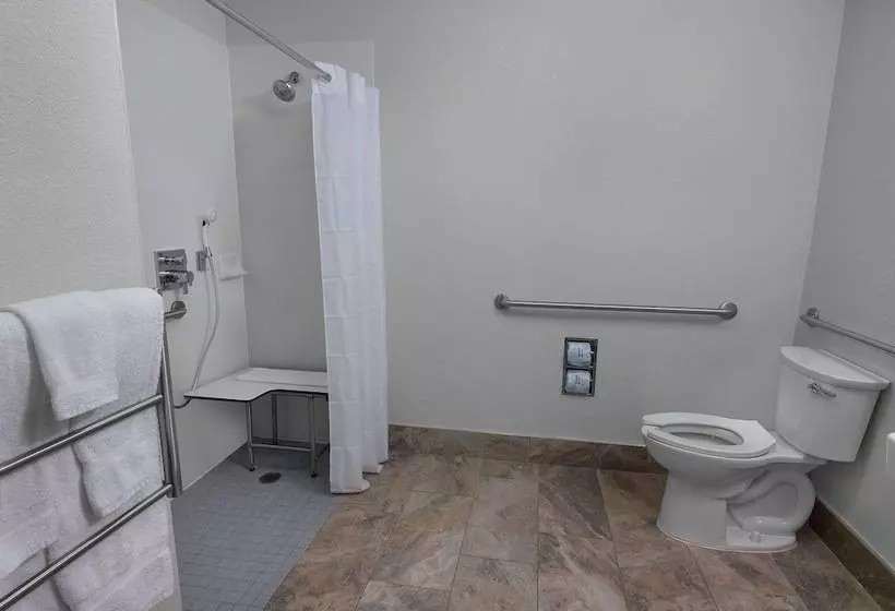 Fotos del hotel La Quinta By Wyndham Miami Airport West:  5