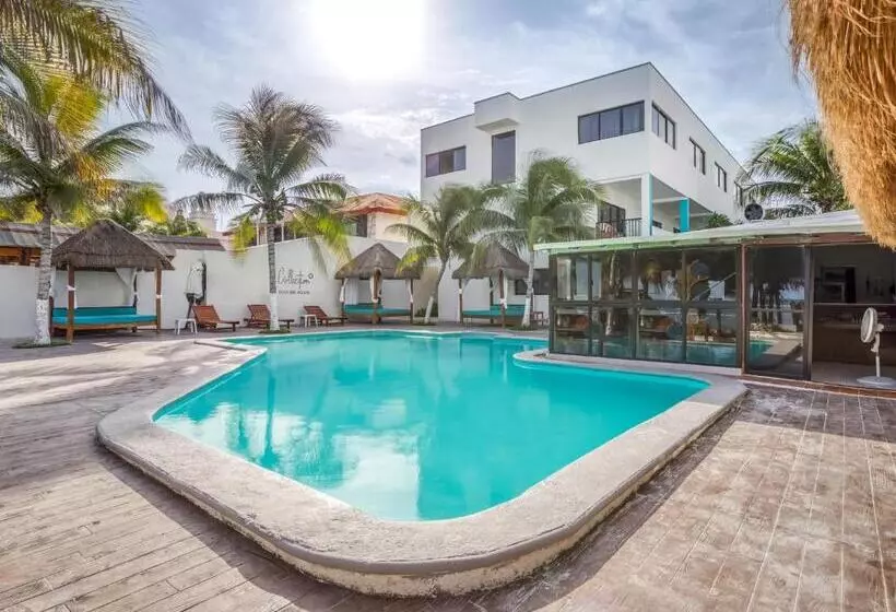 & Beach Club Ojo De Agua