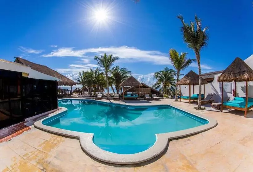 Fotos del hotel & Beach Club Ojo De Agua:  7