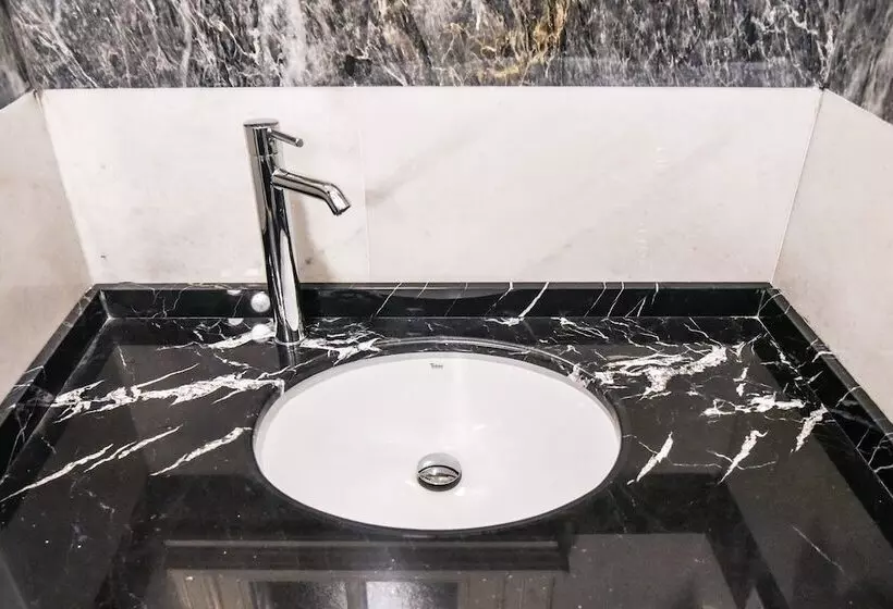 Fotos del hotel Luxir:  2