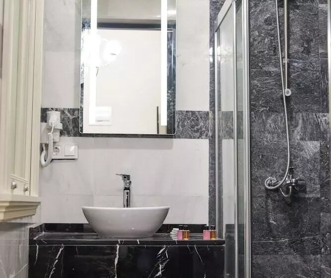 Fotos del hotel Luxir:  18