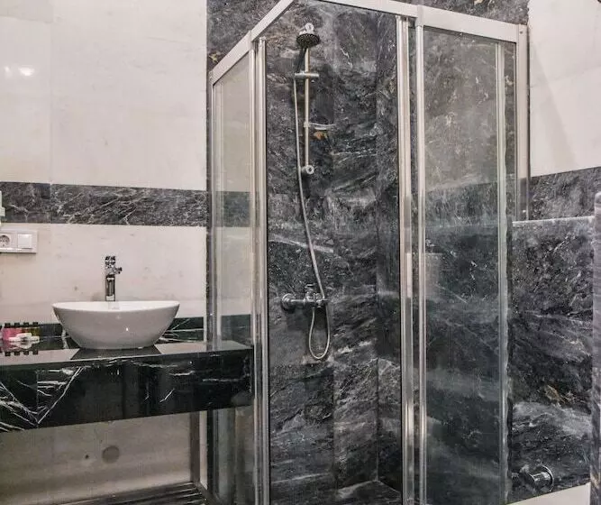 Fotos del hotel Luxir:  24