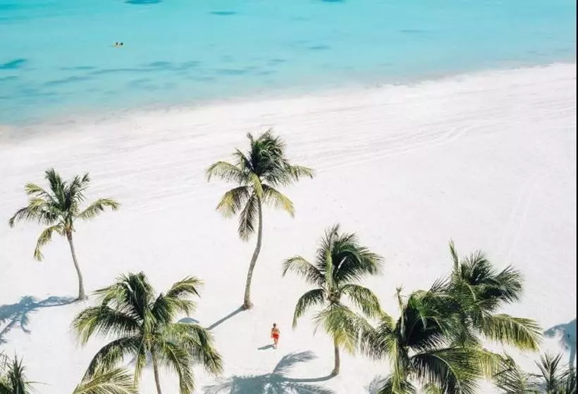Fotos del hotel Hyatt Ziva Cap Cana:  6