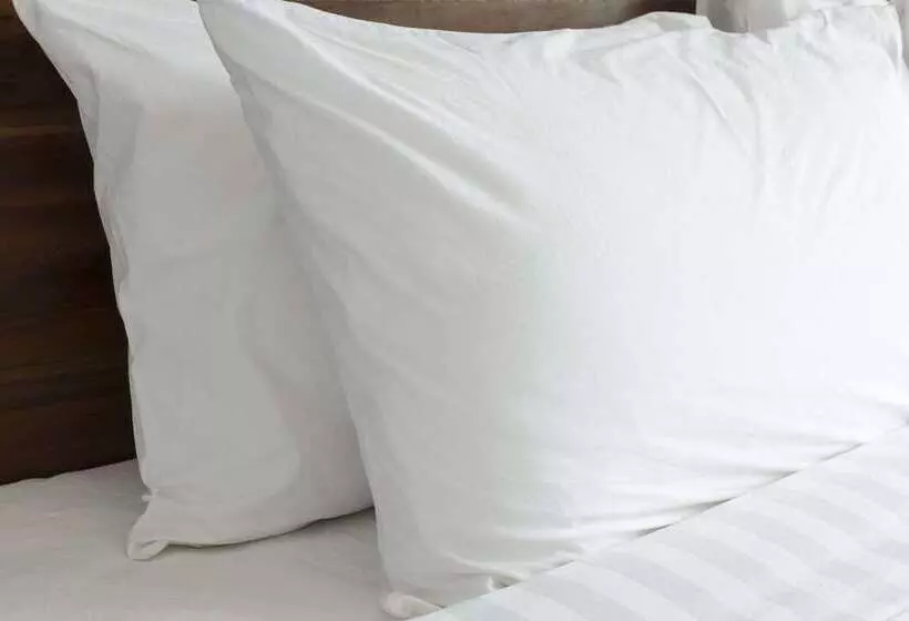 Fotos del hotel Knights Inn Fairground:  9