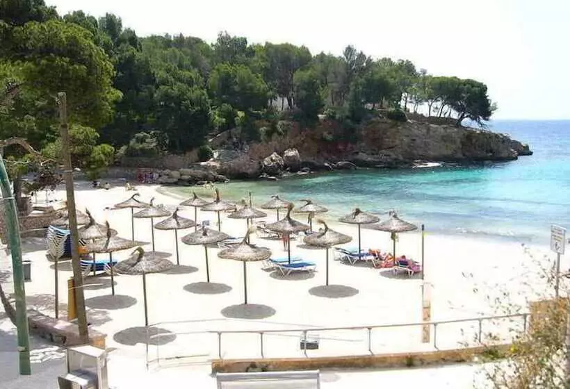 Fotos del hotel Rd Costa Portals  Adults Only:  12