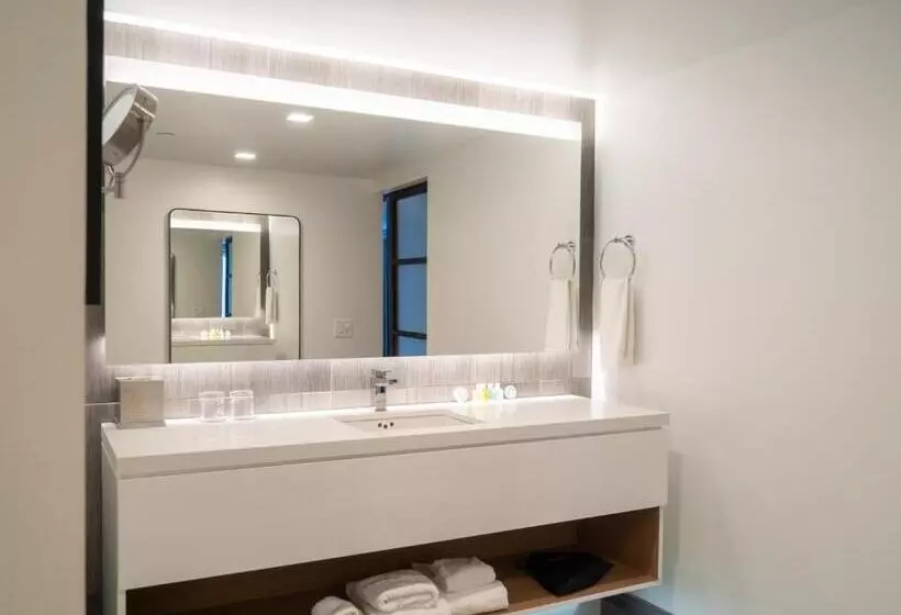 Fotos del hotel The Windsor Suites Philadelphia:  6