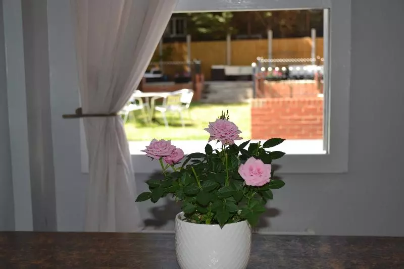 Fotos del hotel My Place:  7