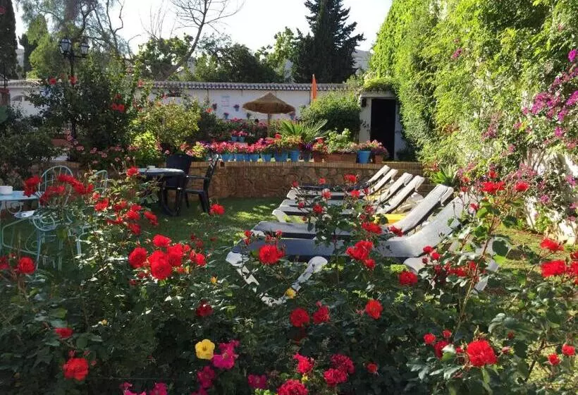 Fotos del hotel Carmen Teresa:  5