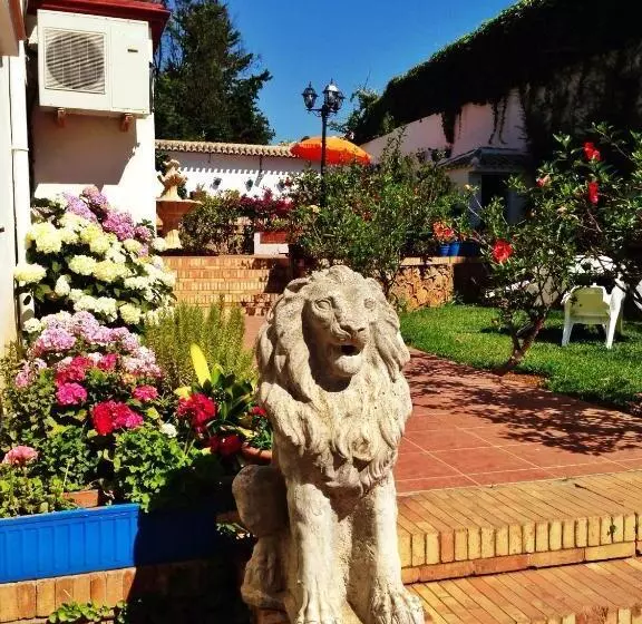 Fotos del hotel Carmen Teresa:  23