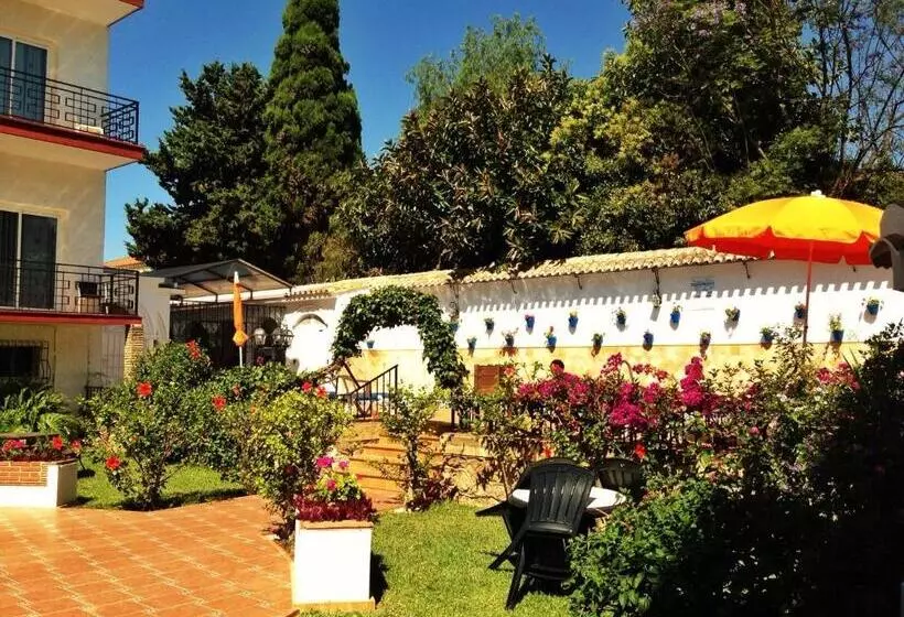 Fotos del hotel Carmen Teresa:  19