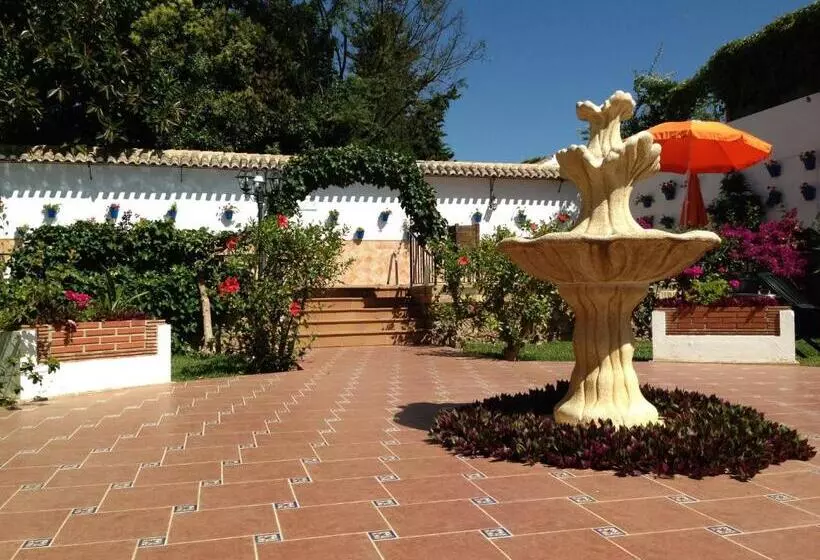 Fotos del hotel Carmen Teresa:  20