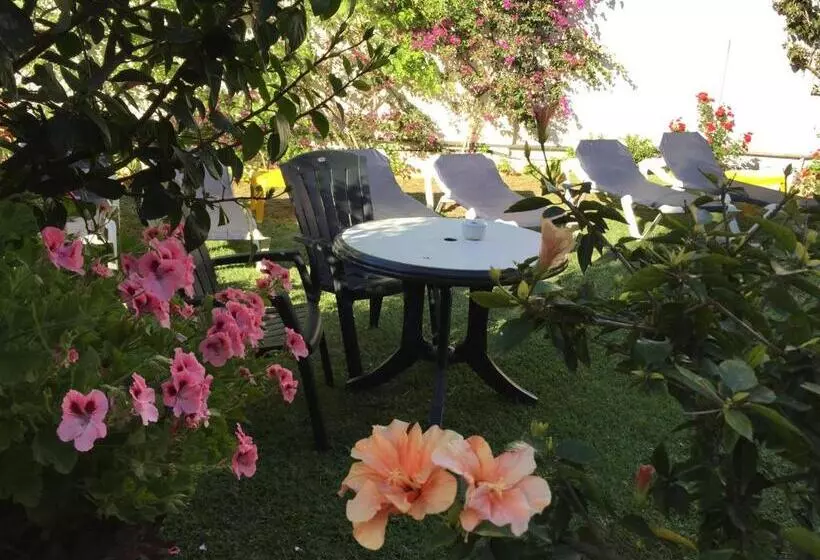 Fotos del hotel Carmen Teresa:  22