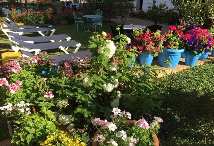 Fotos del hotel Carmen Teresa:  15