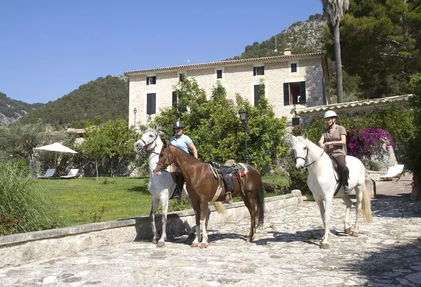 Fotos del hotel Monnaber Nou Finca  & Spa:  7