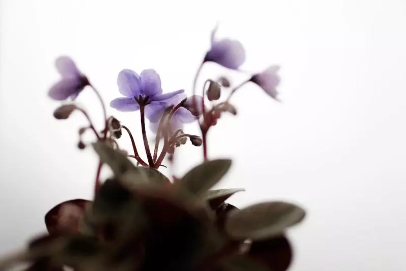 Fotos del hotel La Manufacture:  3