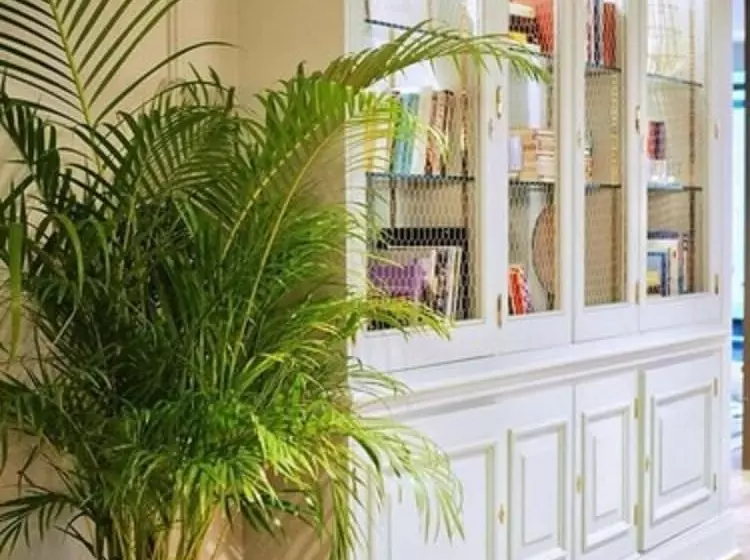 Fotos del hotel Avenue Louise Brussels Trademark Collection By Wyndham:  47