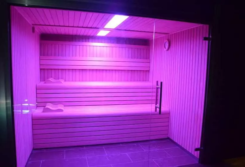 Fotos del hotel Spa Acevi Val D’aran:  3