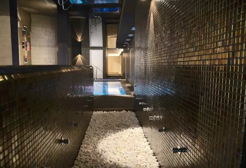 Fotos del hotel Spa Acevi Val D’aran:  8