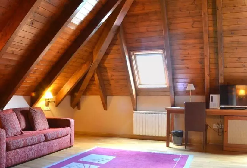 Fotos del hotel Spa Acevi Val D’aran:  24