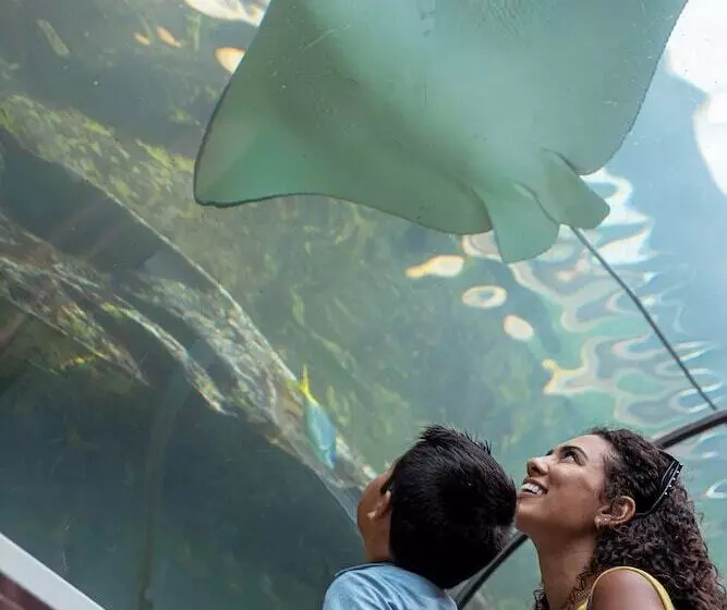 Fotos del hotel Novotel Sydney Darling Square:  9