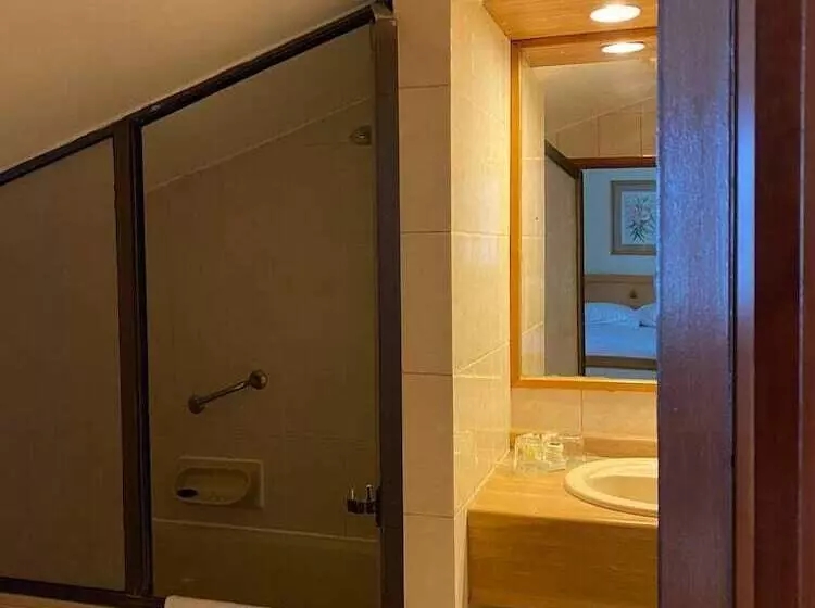 Fotos del hotel Abba Presidente Suites Puerto Montt:  14