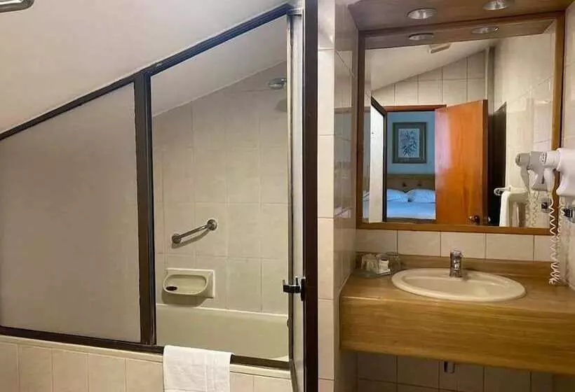 Fotos del hotel Abba Presidente Suites Puerto Montt:  15