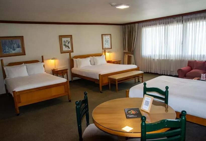 Fotos del hotel Abba Presidente Suites Puerto Montt:  2