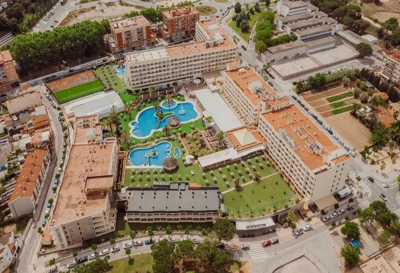 Fotos del hotel Evenia Olympic Park:  49