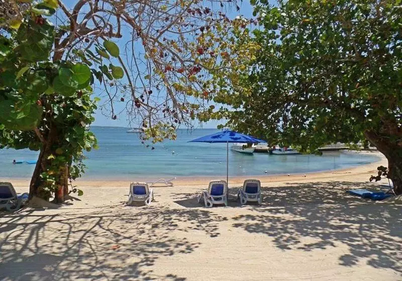 Fotos del hotel Hedonism Ii All Inclusive Resort:  7